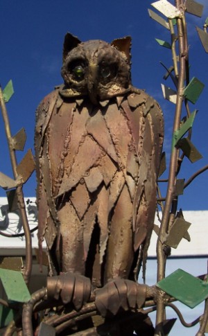OwlonatreebyShimonDrory.jpg