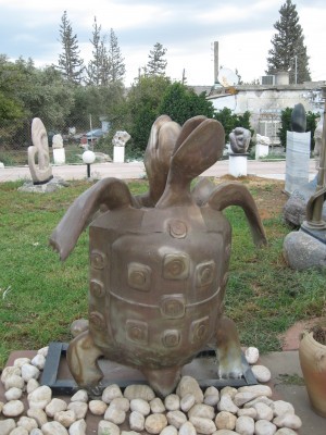 TurtlebyShimonDrory.jpg