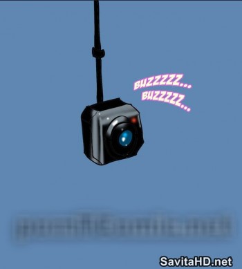 29.jpg