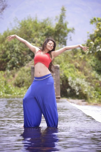 ram_leela_tamil_movie_stills_ram_charan_kajal_agarwal_3e6a16a.jpg