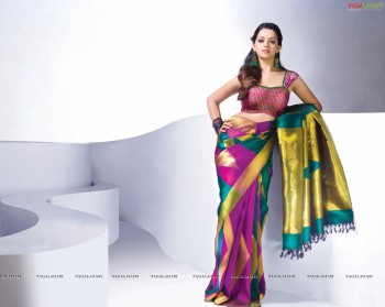 bhavana-posters8.jpg