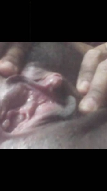 IMG-SCR0008.jpg