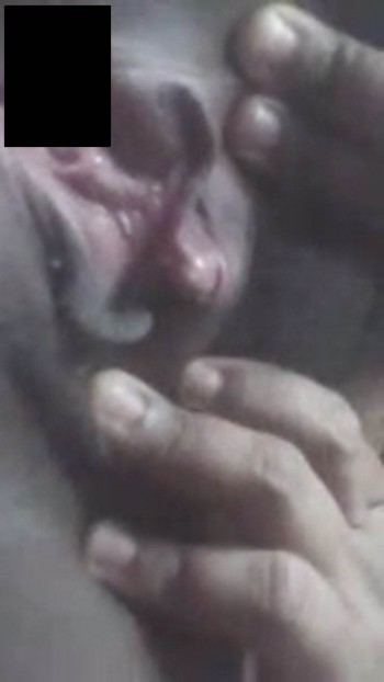 IMG-SCR0009.jpg