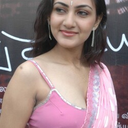 46-464898_tamil-hot-actress-in-saree